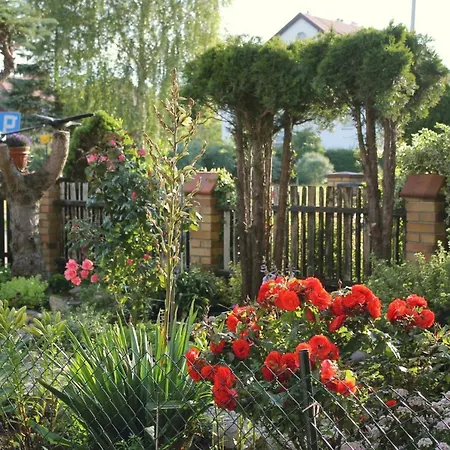 Helena Goscinne ميلنو