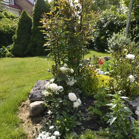 Helena Goscinne منزل للإقامة