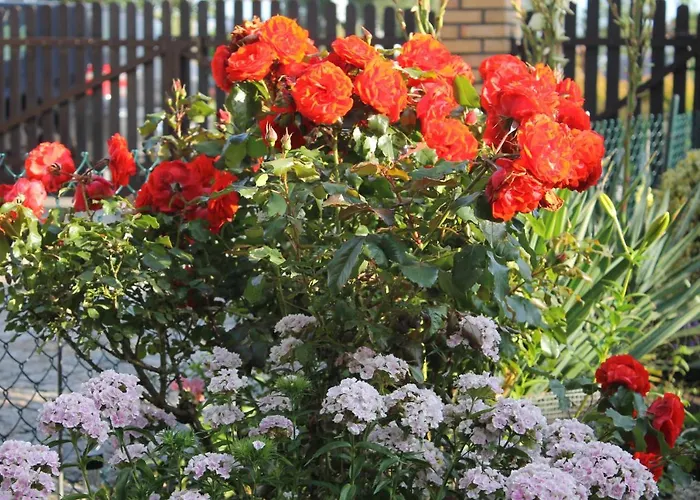 Helena Goscinne Pansiyon *