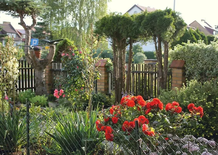 Helena Goscinne Mielno (Koszalin)